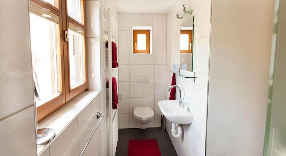 Haus An Der Litz Apartment Schruns Екстериор снимка