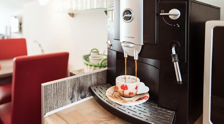 Haus An Der Litz Apartment Schruns Екстериор снимка